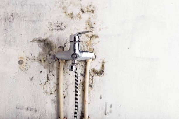 Best Mold Testing  in Blue Mound, TX