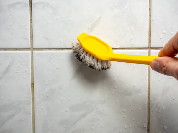 Best Mold Cleaning Services  in Blue Mound, TX