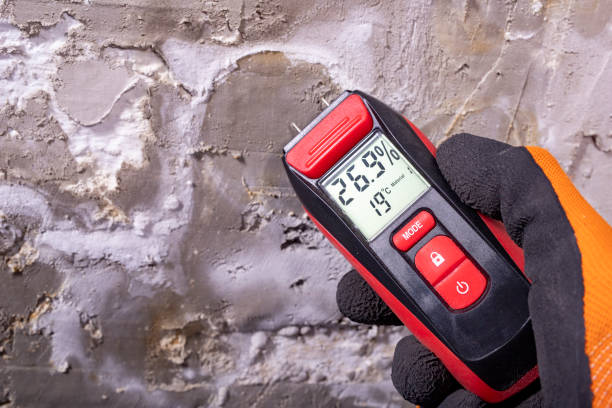 Best Toxic Mold Removal  in Blue Mound, TX