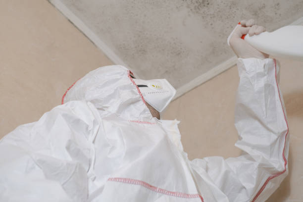 Best Professional Mold Removal  in Blue Mound, TX